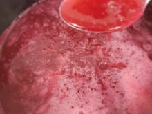 Geleia diet de Jabuticada
