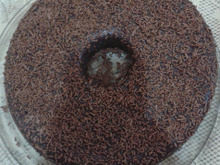 Brigadeirão (de forno)