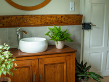 Diga adeus ao mofo no banheiro com essas 3 plantas perfeitas e poderosas