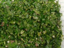 Alichella