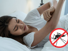 Com essa receita caseira de 3 ingredientes os mosquitos vão fugir do seu quarto