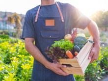 Tá muito caro! Quais são os alimentos orgânicos que realmente valem o investimento pelo bem da sua saúde?