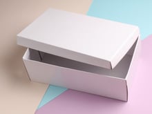 Você tem um tesouro em casa e nem imagina: saiba o que fazer com caixas de sapatos vazias