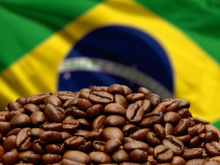 Respeita nosso café! Grãos brasileiros fazem sucesso na Europa pela qualidade e sustentabilidade
