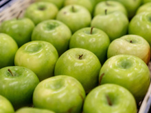 Conheça os principais benefícios da maçã verde e se surpreenda com o poder da fruta