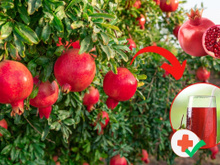 Quais são os benefícios da romã? É isso que acontece com o seu corpo ao beber suco de romã todos os dias