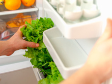 Nem água, nem pano úmido: descubra a melhor forma de conservar folhas na geladeira por mais tempo