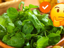 Esse é o jeito certo de consumir agrião com mais nutrientes