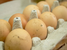 O que acontece se comer ovo estragado? Real perigo vem à tona em dicas de especialista