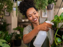 O que significa ter muitas plantas em casa? Isso pode explicar muito sobre a personalidade de cada pessoa