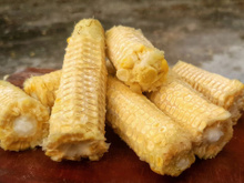 Não jogue fora o sabugo de milho, ele é um tesouro: como reciclar e usar no jardim