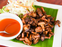 Como fazer shitake: aprenda 10 opções vegetarianas