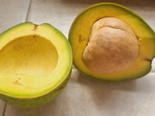 Demorei, mas aprendi com o TudoGostoso como guardar o abacate do jeito certo: sem manchas escuras e dura muito mais