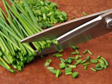 Tesoura de cozinha: 6 utilidades que irão te ajudar no dia a dia