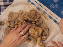 Festival gratuito em Brasília reúne cinema e alimentação: o que vai rolar no Slow Filme 2022