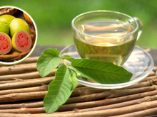 4 benefícios do chá de folha de goiaba para a sua saúde (com receita da minha vovó)