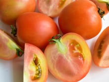 Por que aparecem veias brancas e duras nos tomates? O motivo mais comum vai surpreender muita gente