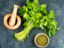 Frescas ou secas: como escolher as ervas aromáticas certas para dar mais sabor às sua receitas