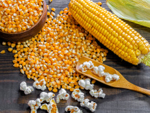 Receitas com milho: tem bolo, sorvete, pipoca, canjica, polenta, pamonha, angu e muito mais!