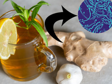 Chá matador de bactérias ruins do intestino: bebida cuida do corpo e elimina sintomas. Veja como fazer e beba durante o dia