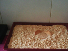 Bolo de bolacha delicioso