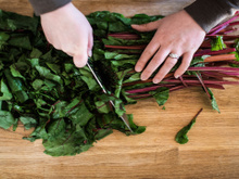 O "superalimento" esquecido: o vegetal que combate a inflamação e você deveria comer toda semana