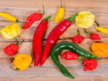 O guia essencial das pimentas brasileiras que todo amante de picância deveria conhecer