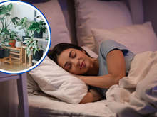 Agora eu durmo como um bebê: passei a cultivar plantas calmantes em casa e minhas noites de sono melhoraram