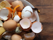 Se misturar cascas de ovos com cascas de banana você terá um tesouro: saiba para que serve