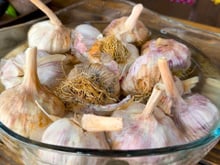 Veja por que você deve deixar dentes de alho de molho em um copo de água gelada