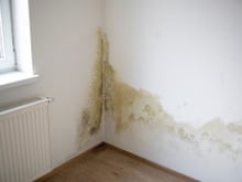 Adeus manchas nas paredes e tetos: solução potente com um ingrediente simples absorve a umidade de casa no outono