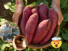 Benefícios da batata-doce: alimento fit gera saciedade, diminui colesterol, protege os olhos e muito mais!