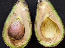 Veja esses 2 truques INACREDITÁVEIS para o abacate não estragar e pare de jogar comida fora hoje!