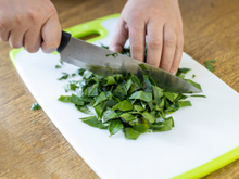 Ora-pro-nóbis é a planta que você precisa e não sabia: conheça benefícios