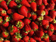 5 alimentos que auxiliam a cicatrização