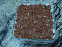 Pavê simples de brigadeiro com chantilly
