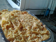 Estrogonofe com macarrão