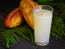 Suco de polpa de cacau: conheça os benefícios da saúde e aprenda a fazer