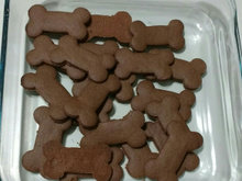 Bolachinhas de chocolate