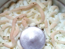 Torta de Limão Rápida