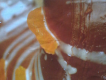 Manjar de chocolate ao molho de rum