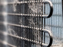 Nem água, nem pano úmido: como limpar as grades da geladeira sem prejudicar o eletrodoméstico