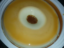 Pudim de leite condensado prático e rápido (não vai ao forno e não usa ovos)