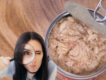 Atum enlatado em óleo X atum enlatado em água: qual é mais saudável segundo a ciência?
