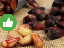 Se sua mãe não te ensinou, eu te ensino: essa é a melhor forma de descascar pinhão, depois que aprendi nunca mais fiz diferente