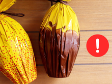 "Tem gosto de chocolate, mas não é chocolate": ovo de Páscoa fake pode enganar, e aqui está o que você precisa saber para não cair em cilada