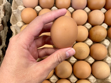 O truque de 10 segundos para saber se o ovo está estragado ou não antes de quebrar e como manter frescos por mais tempo na geladeira