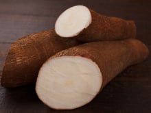 Como escolher a mandioca perfeita