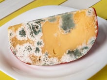 Pode cortar o mofo do queijo e comer o resto? Saiba quais tipos você pode salvar e quais devem ir direto para o lixo