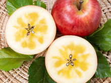 Safra de maçã brasileira surpreende com fenômeno natural que deixa a fruta mais doce